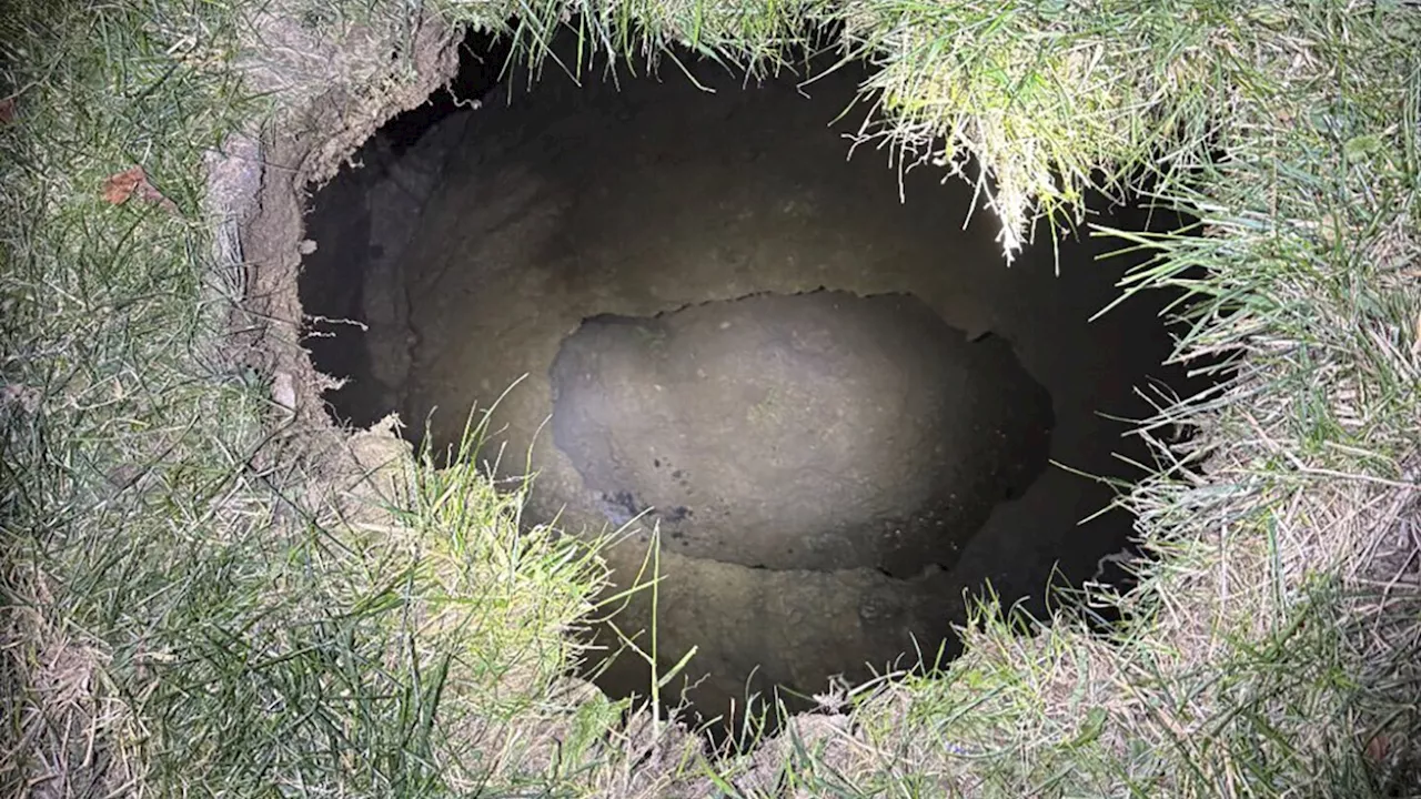 Authorities fear a Pennsylvania woman was swallowed by a sinkhole while looking for her cat