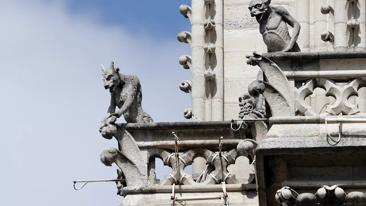 Five things you probably didn't know about Notre Dame Cathedral