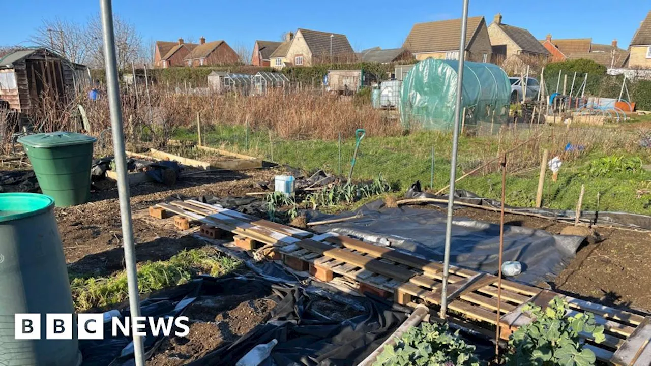 Bid to save Brixworth allotments has failed, parish council says