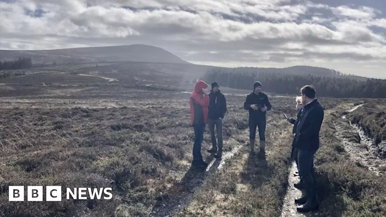 Manx nature reserve expands into 'exceptional' mountain moorland