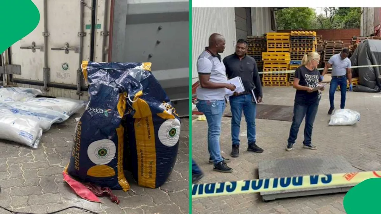 Drugs Worth R86 Million Seized at Durban Warehouse, Product Hidden Among Red Bean Shipment