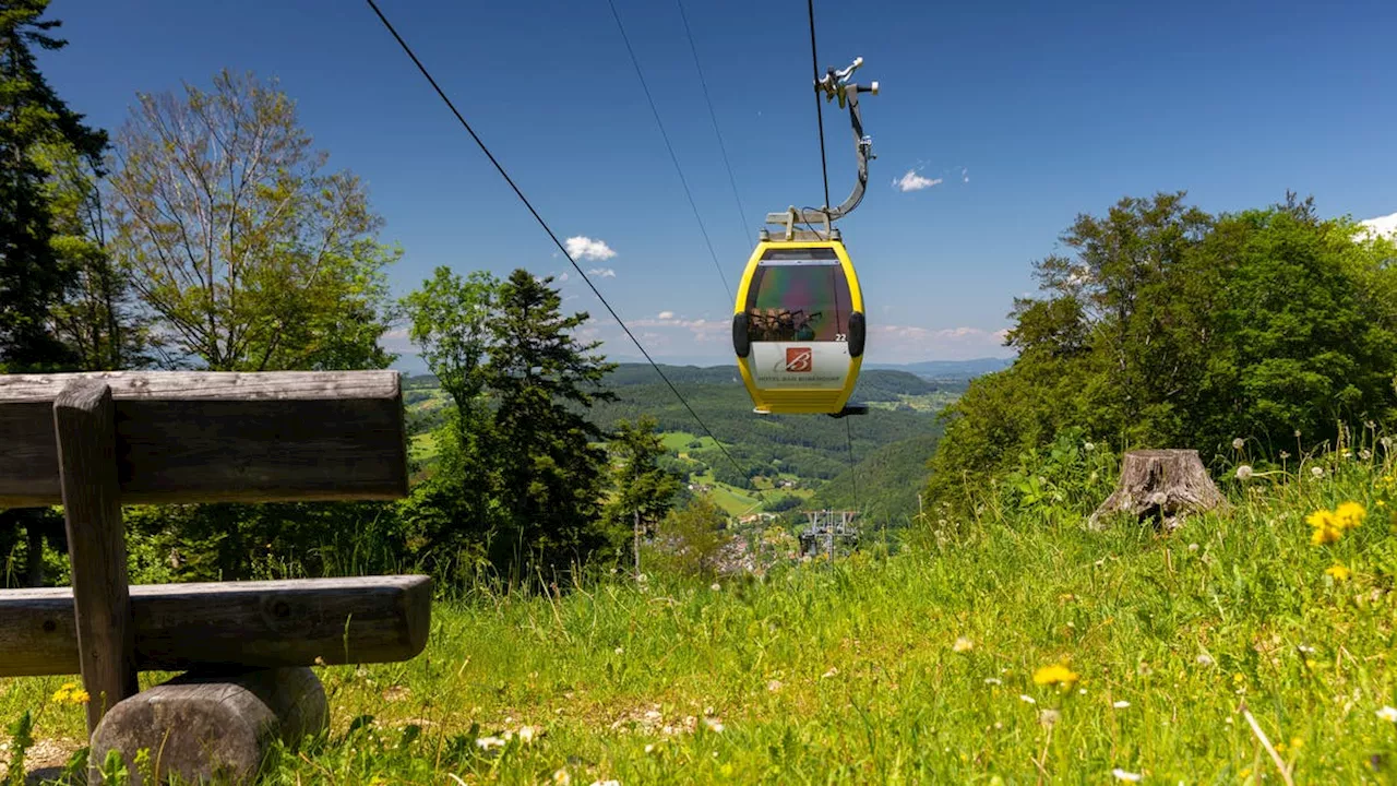 «Die Bauern haben alle ihre Verwandten mitgenommen»: Naturpark Baselbiet ist stark absturzgefährdet