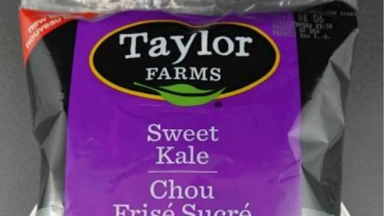 Taylor Farms Sweet Kale Chopped Kit Recalled Due to Salmonella Risk