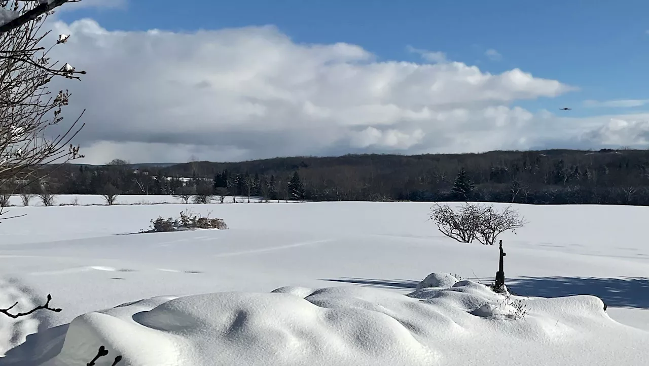 Ontario communities hit by weekend storm should brace for more snow: Environment Canada