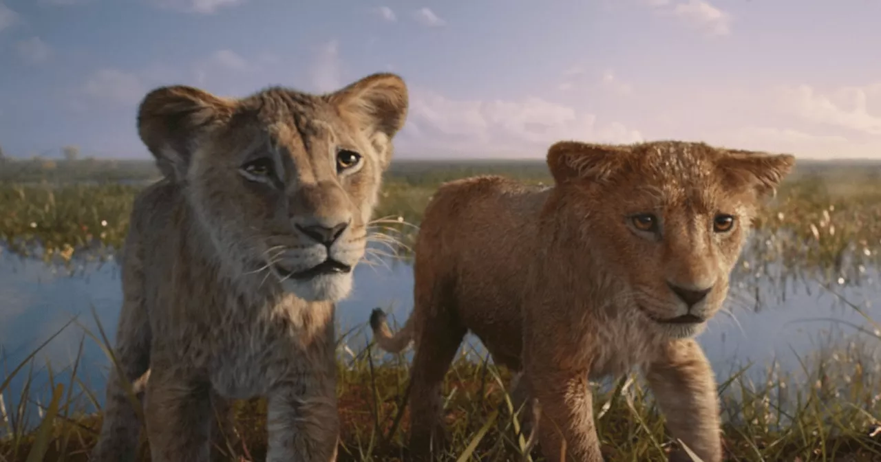 Mufasa: The Lion King Video Highlights Original Soundtrack by Lin-Manuel Miranda