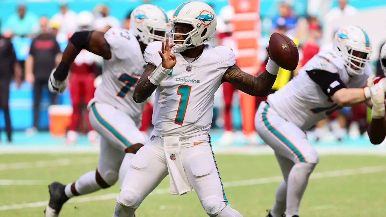 Survivor Pool Picks for Week 14: Miami Dolphins Expected to Bounce Back