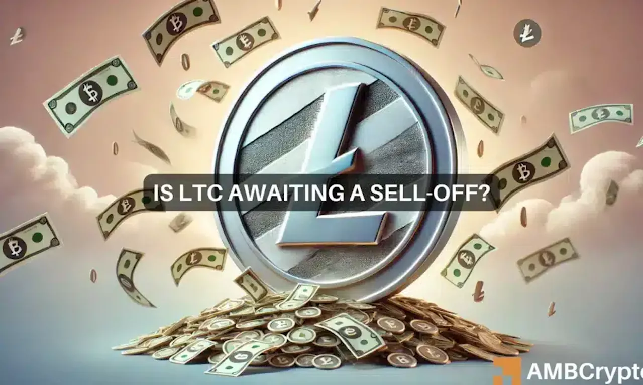 Litecoin’s bull run: 80% of investors in profit – Is a sell-off coming?