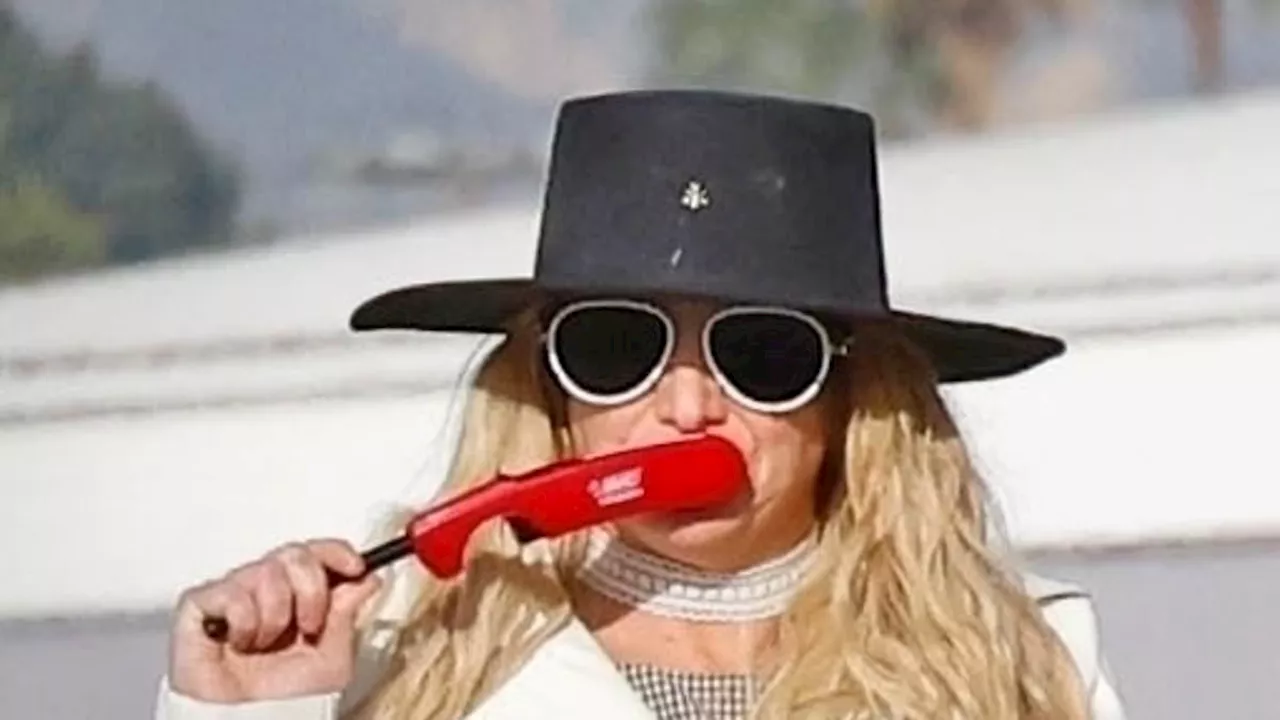 Britney Spears Causes Concern With Grill Lighter on 43rd Birthday