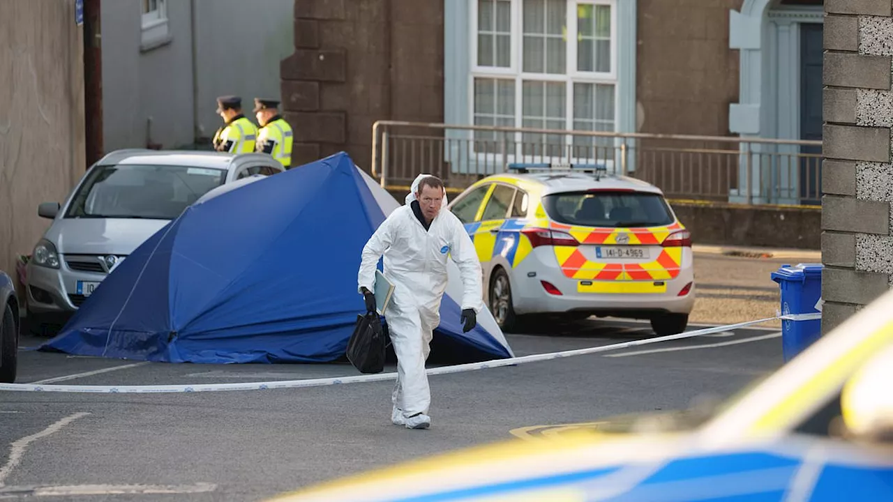 Eight-Year-Old Schoolgirl Dies After Being Stabbed While Protecting Mother in Ireland