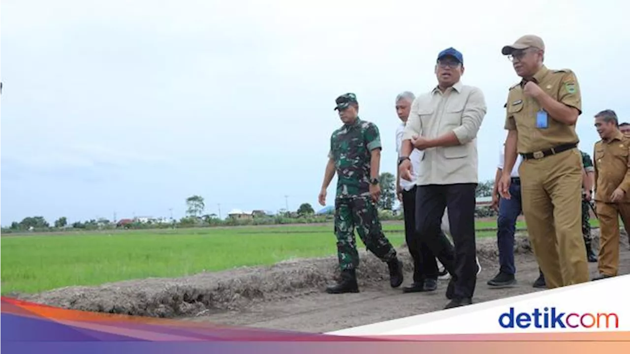 Wamentan Sudaryono Targetkan 106 Ha Oplah & 150 Ha Cetak Sawah di Sumsel