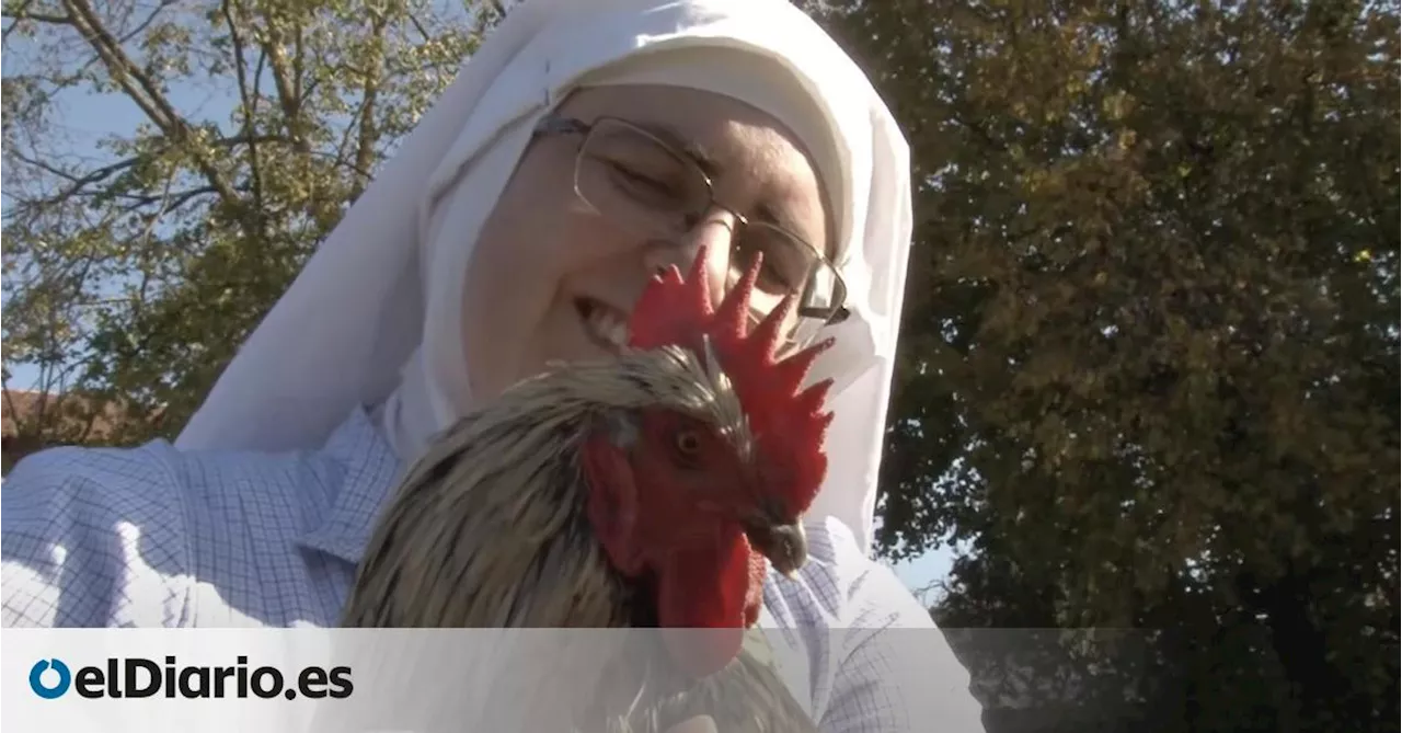 Los últimos 'negocios' de las ex monjas de Belorado: un falso seminario, más chocolates y 'apadrina una gallina'