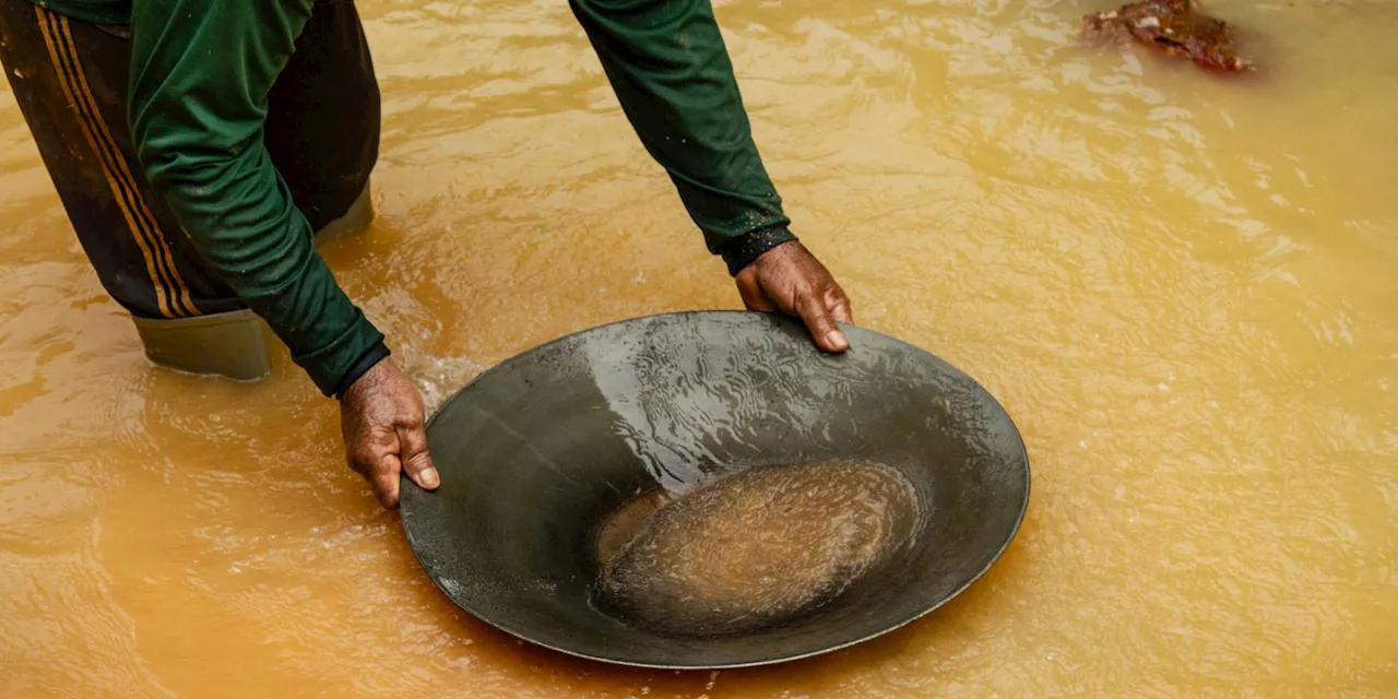 Quarante-deux sites d'orpaillage illégal démantelés dans le sud-est de la Guyane