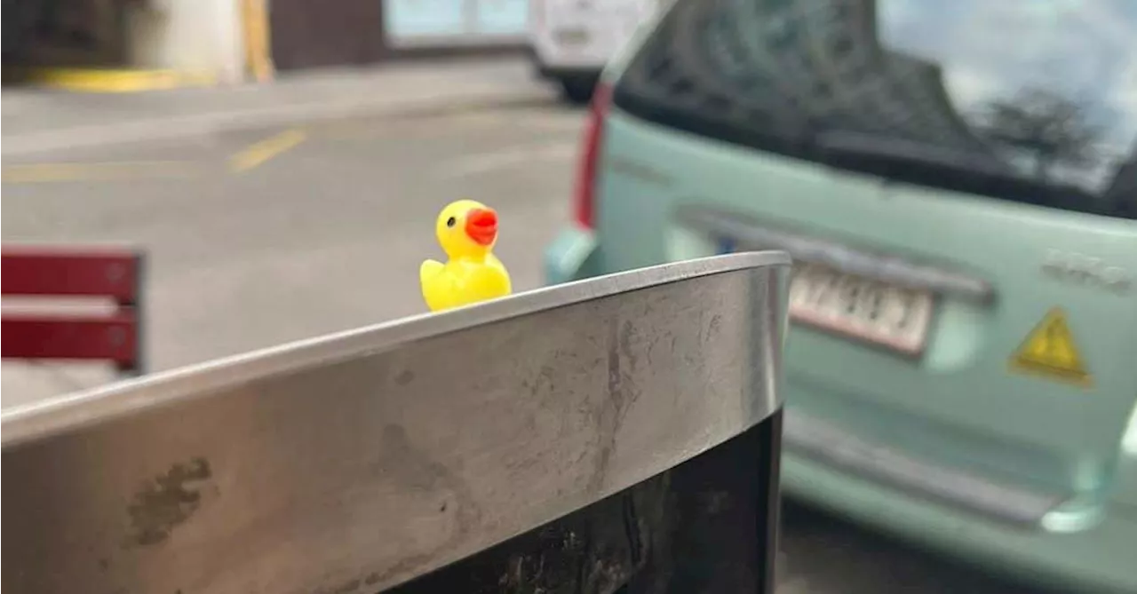 Das Geheimnis der kleinen gelben Plastikenten