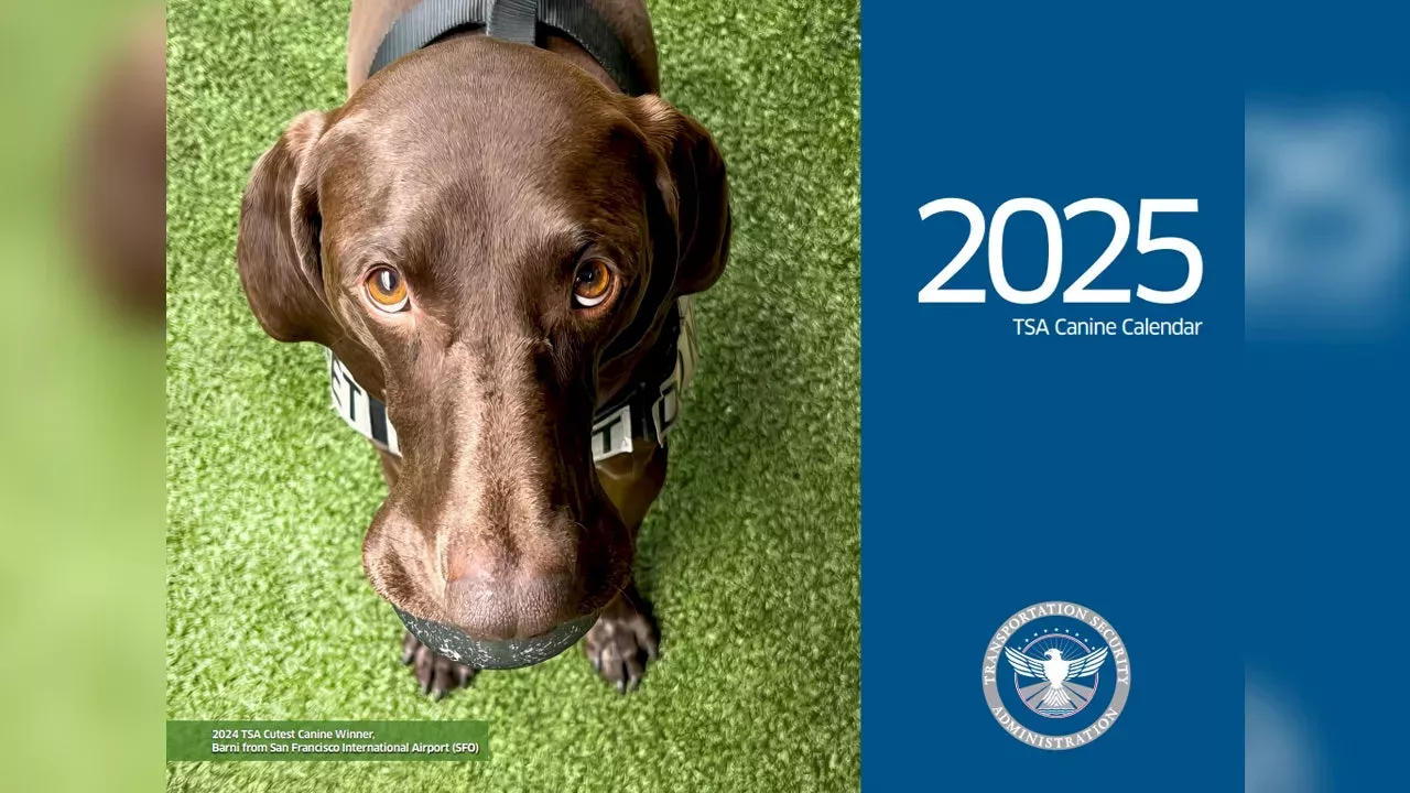 2025 TSA Canine Calendar Meet the dogs News Pets Animals News