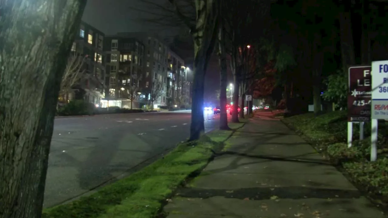 87-year-old man accused of stabbing wife to death in Bellevue, WA