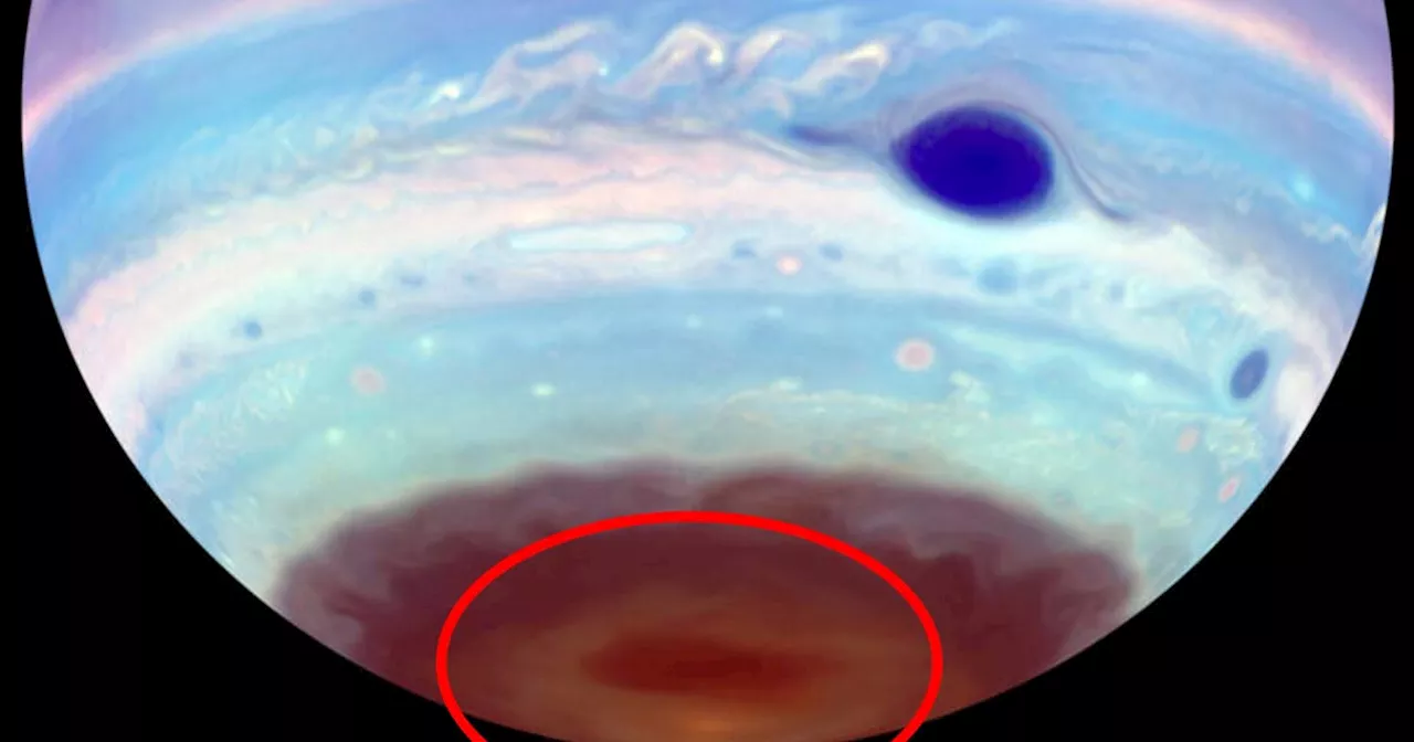 Scientists Intrigued by Large Dark Shapes Appearing on Surface of Jupiter