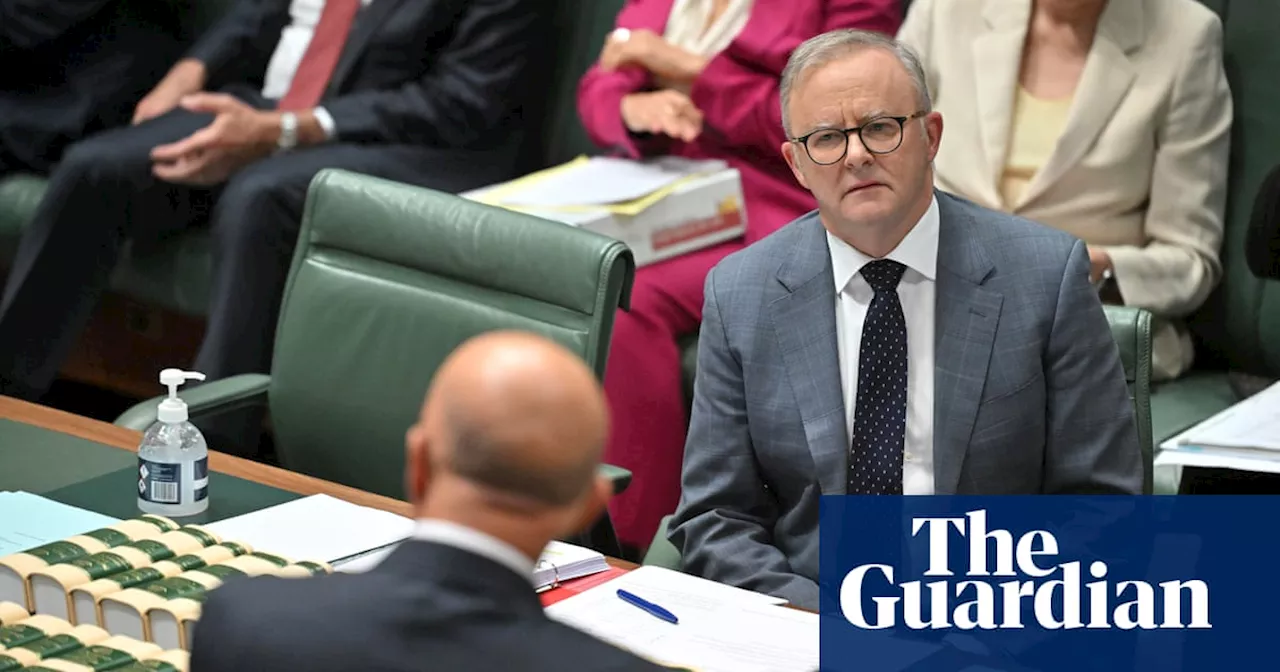 Confidence in federal Labor at Morrison 2022 election loss levels, poll shows