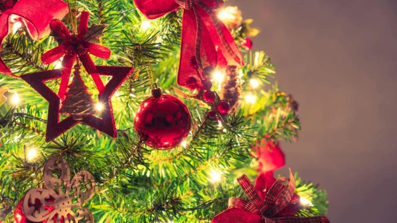 Niño enciende las luces de su árbol de navidad y muere electrocutado, ¿qué le pasó?