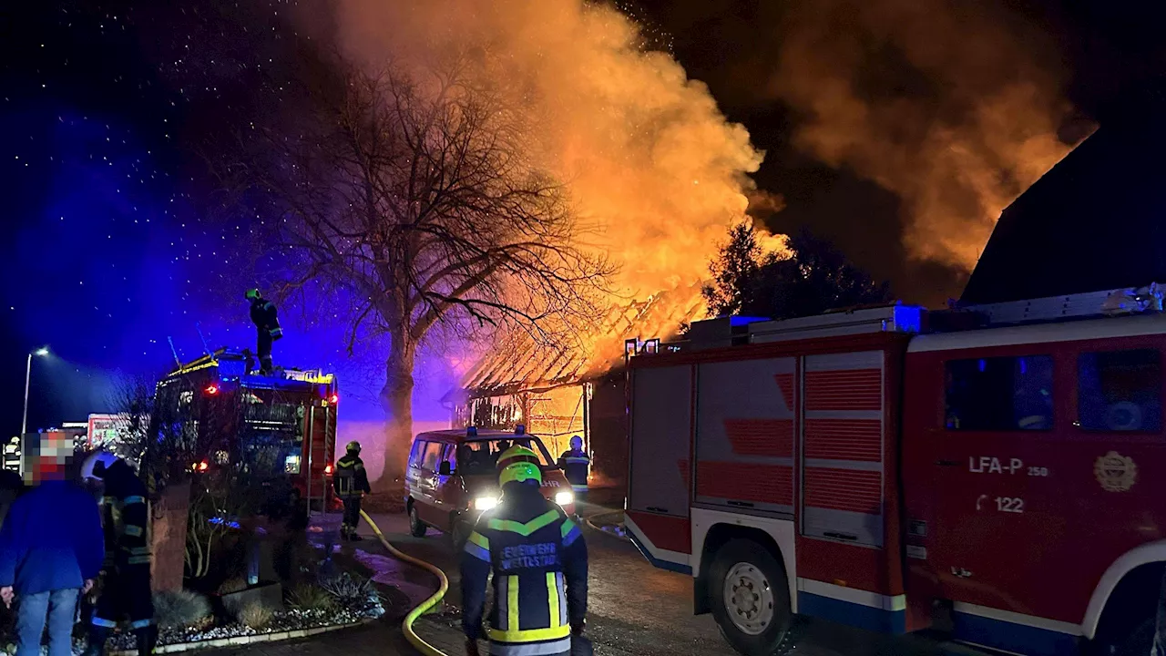  Alarmstufe B3! Großeinsatz in der Nacht in NÖ