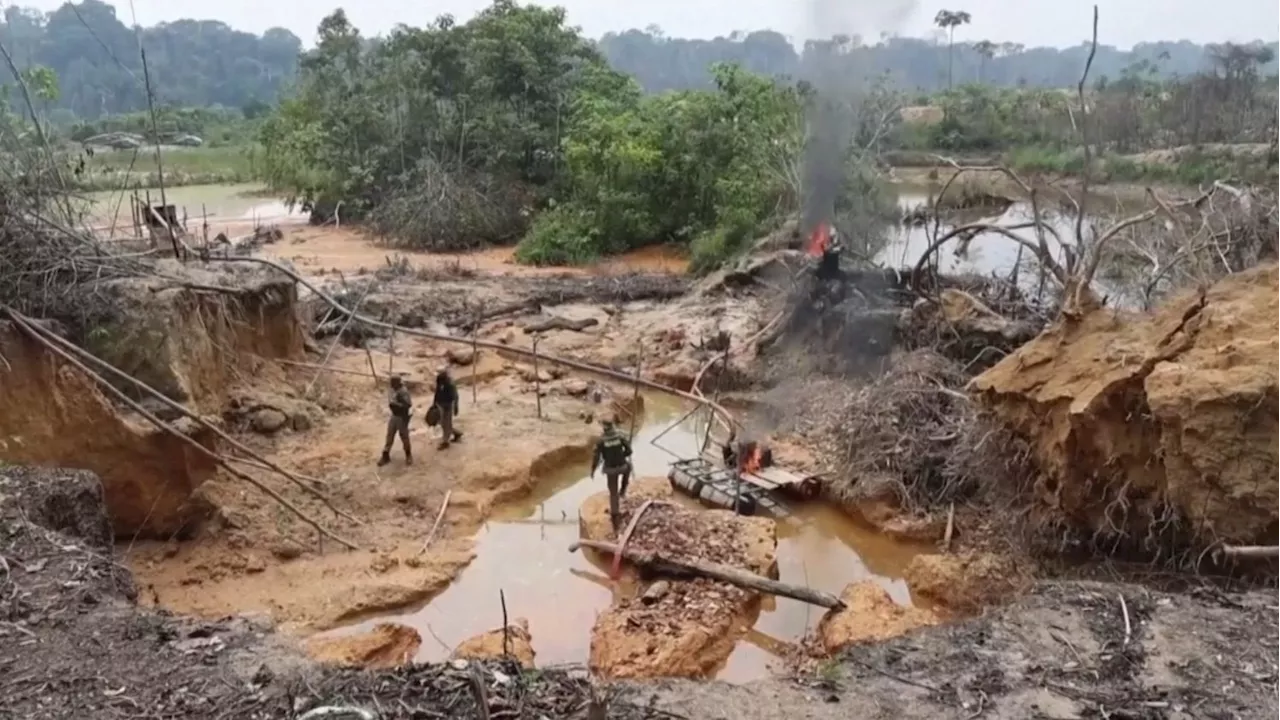 Las tribus indígenas se lanzan a la minería ilegal en Brasil por el precio del oro