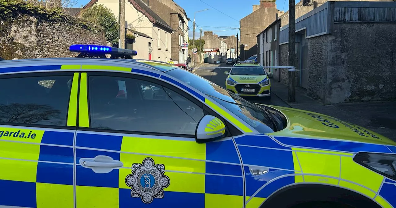 Gardai hope to speak to man injured in New Ross stab tragedy as early as today