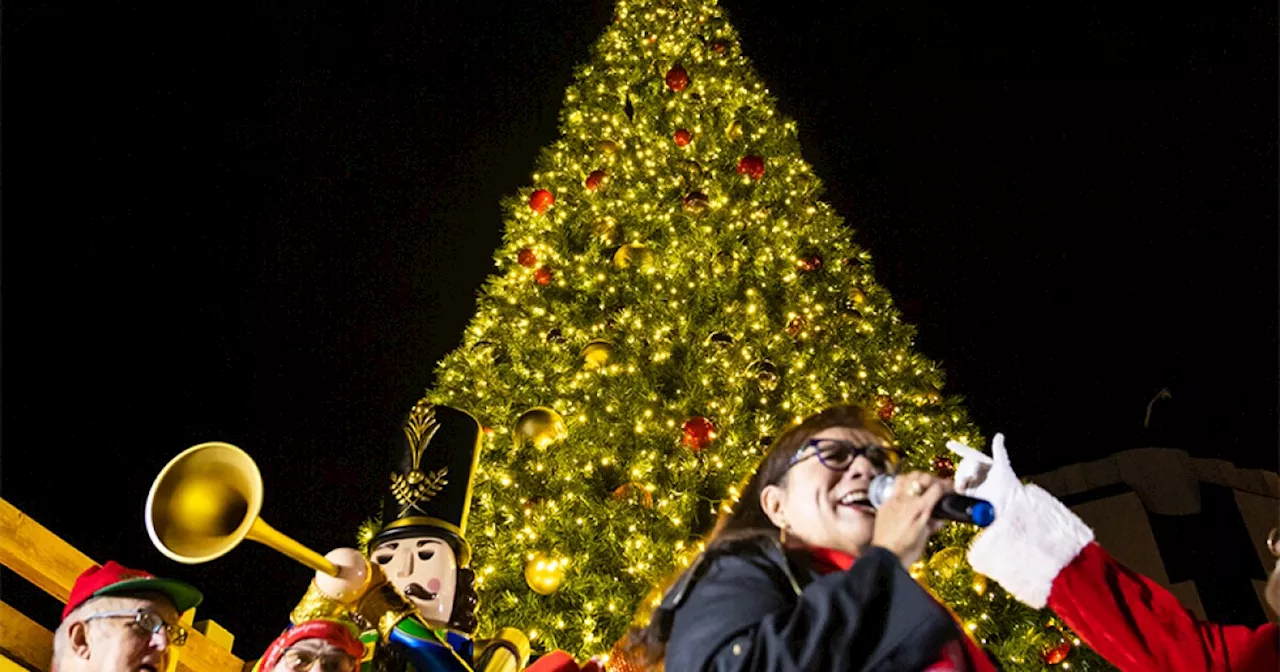 Oceanside Holiday Tree Lighting Ceremony & Holiday Gift Markets