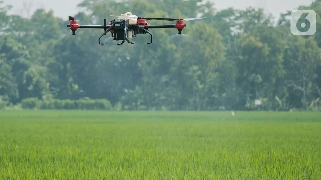 Disebar Lewat Drone, Pupuk Cair Organik Kerek Produktivitas Pertanian 40%