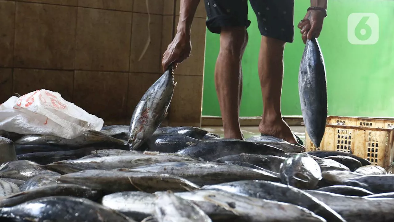 Ikan Punya Makna Kuat dalam Sejarah Indonesia, KKP Siap Sertakan di Program Makan Bergizi Gratis