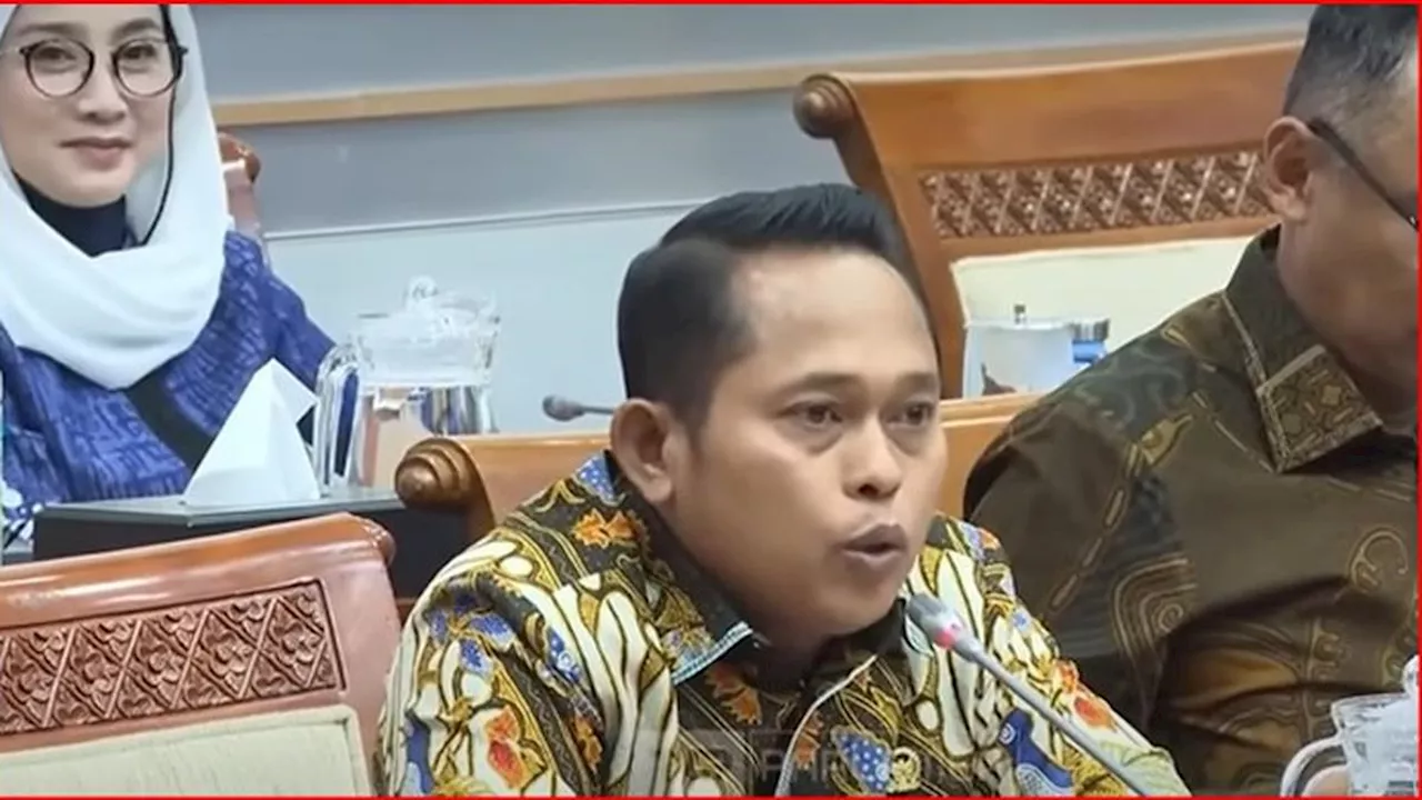 MKD Sanksi Anggota DPR Fraksi PDIP Yulius Setiarto soal Cawe-cawe 'Partai Coklat' di Pilkada 2024