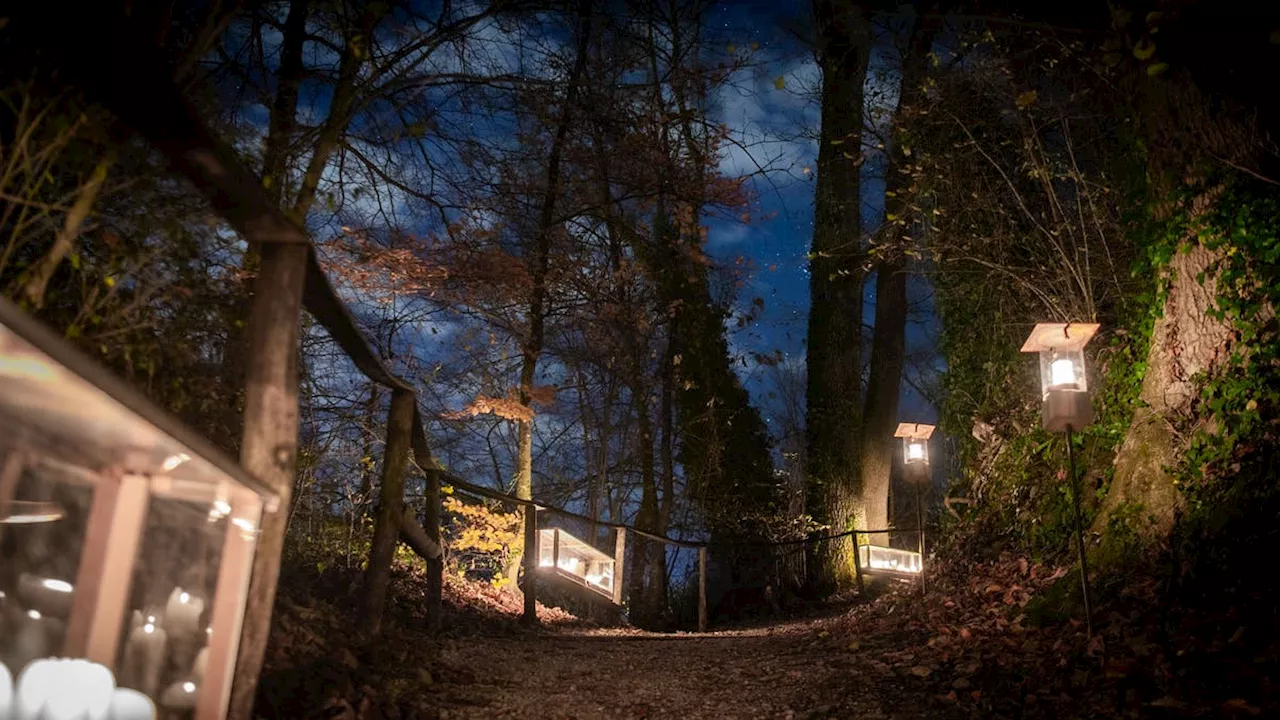 Das sind die schönsten Luzerner Laternen- und Lichterwege