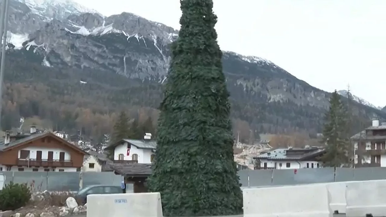 Cortina d'Ampezzo (Belluno), l'albero di plastica divide i residenti