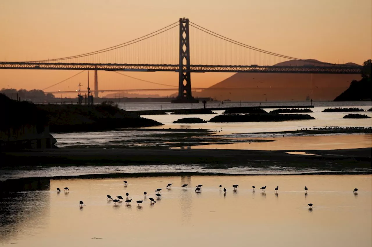 For Bay Area weather, holiday season looks sunny and clear