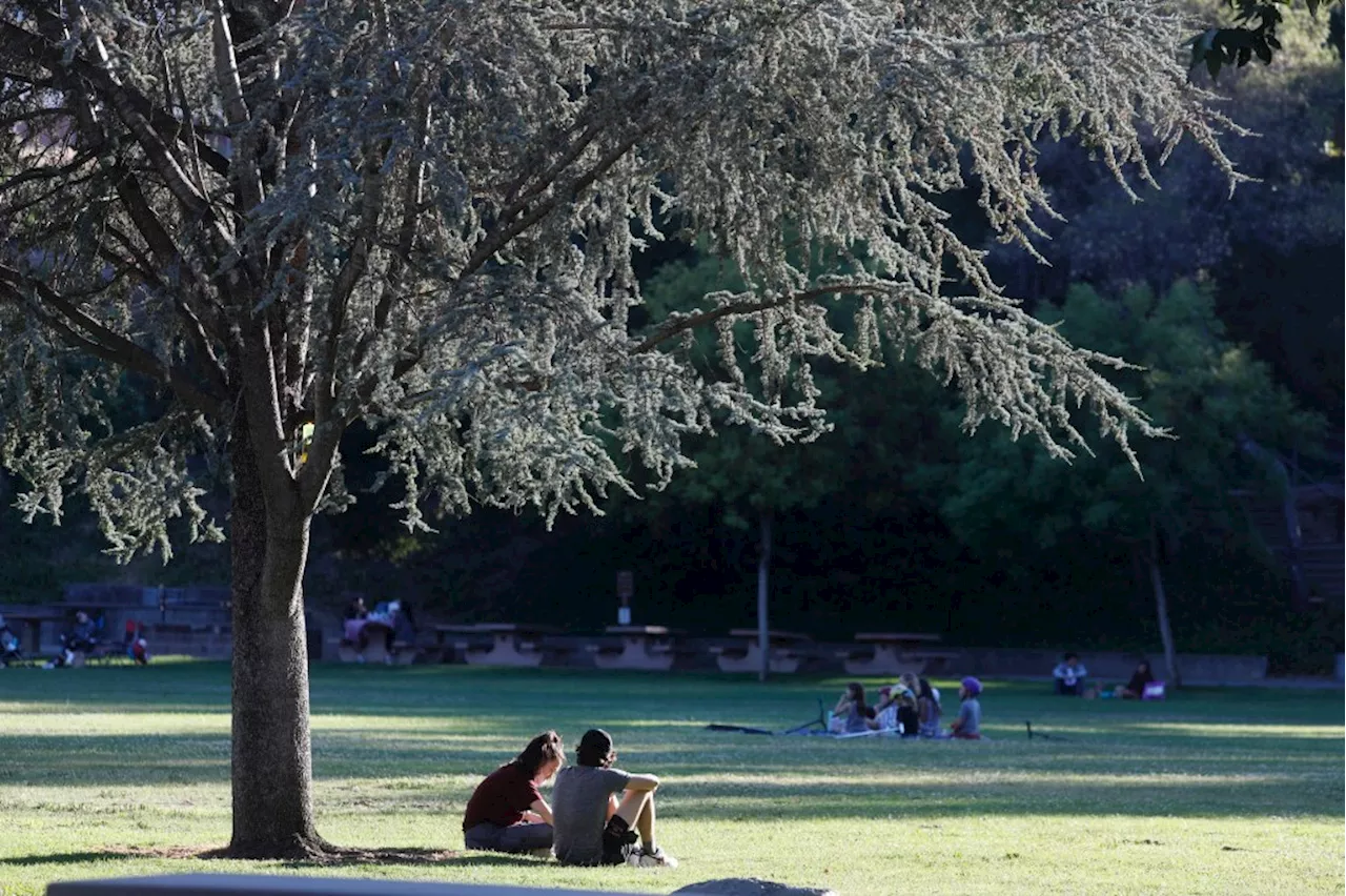 Los Gatos council approves restrictions on sidewalk vending