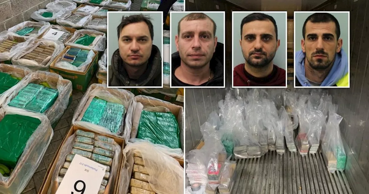 Drug smuggling gang jailed after £200,000,000 of cocaine found in banana boxes