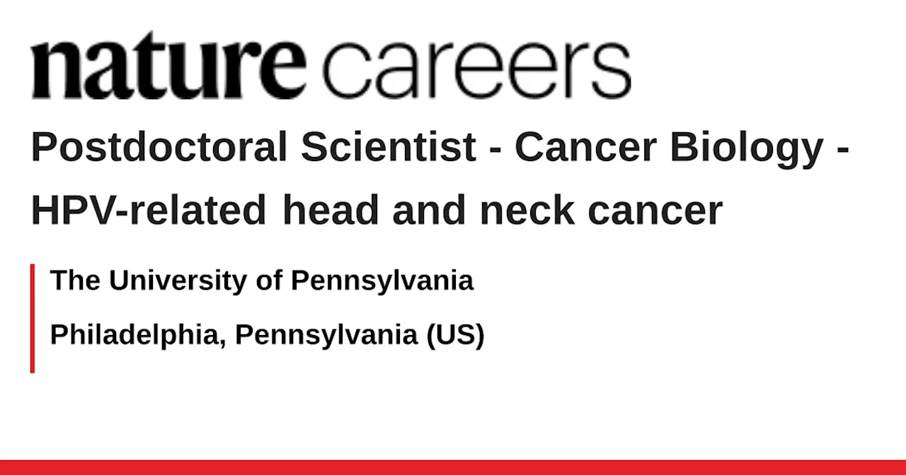 Postdoctoral Positions Open for HPV-Related Head and Neck Cancer Research