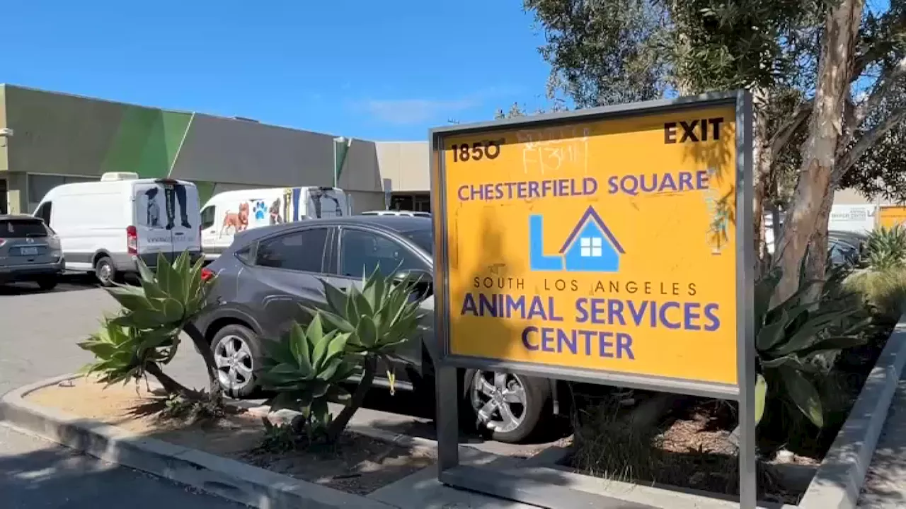 LA Animal Services general manager resigns amid challenges