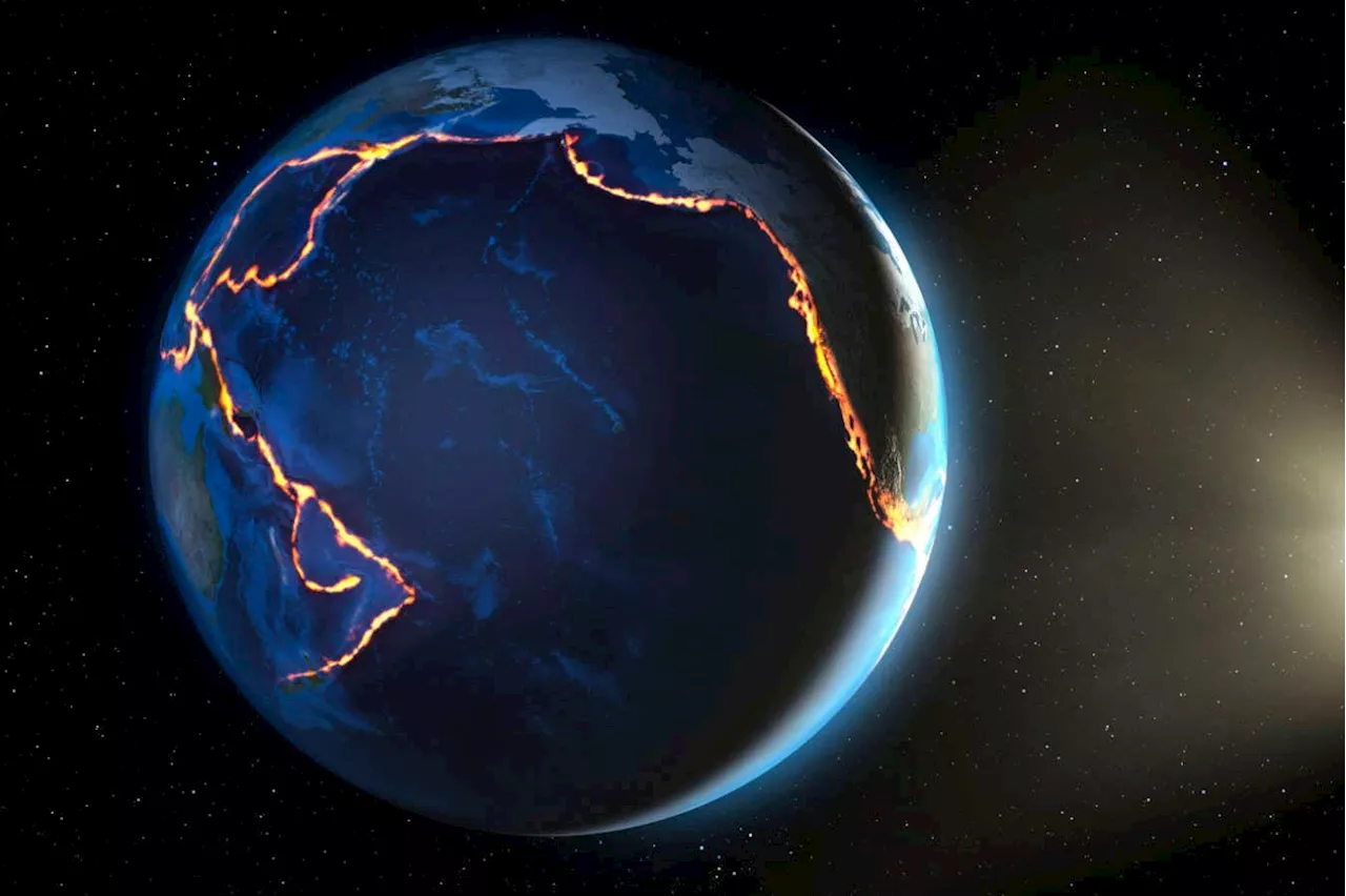 The Unique Role of Plate Tectonics in Earth's Habitability