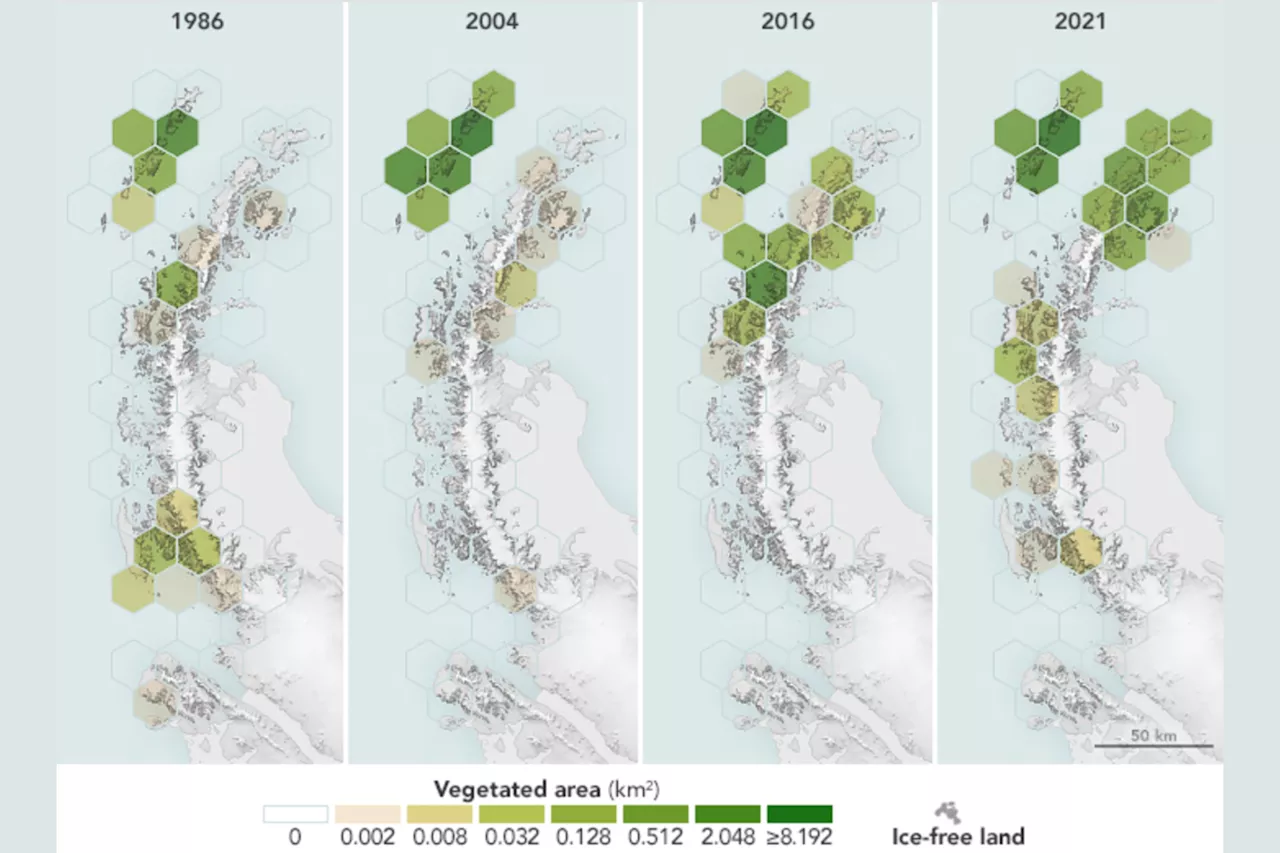 NASA Images Show Antarctica Getting Greener As Ice Melts