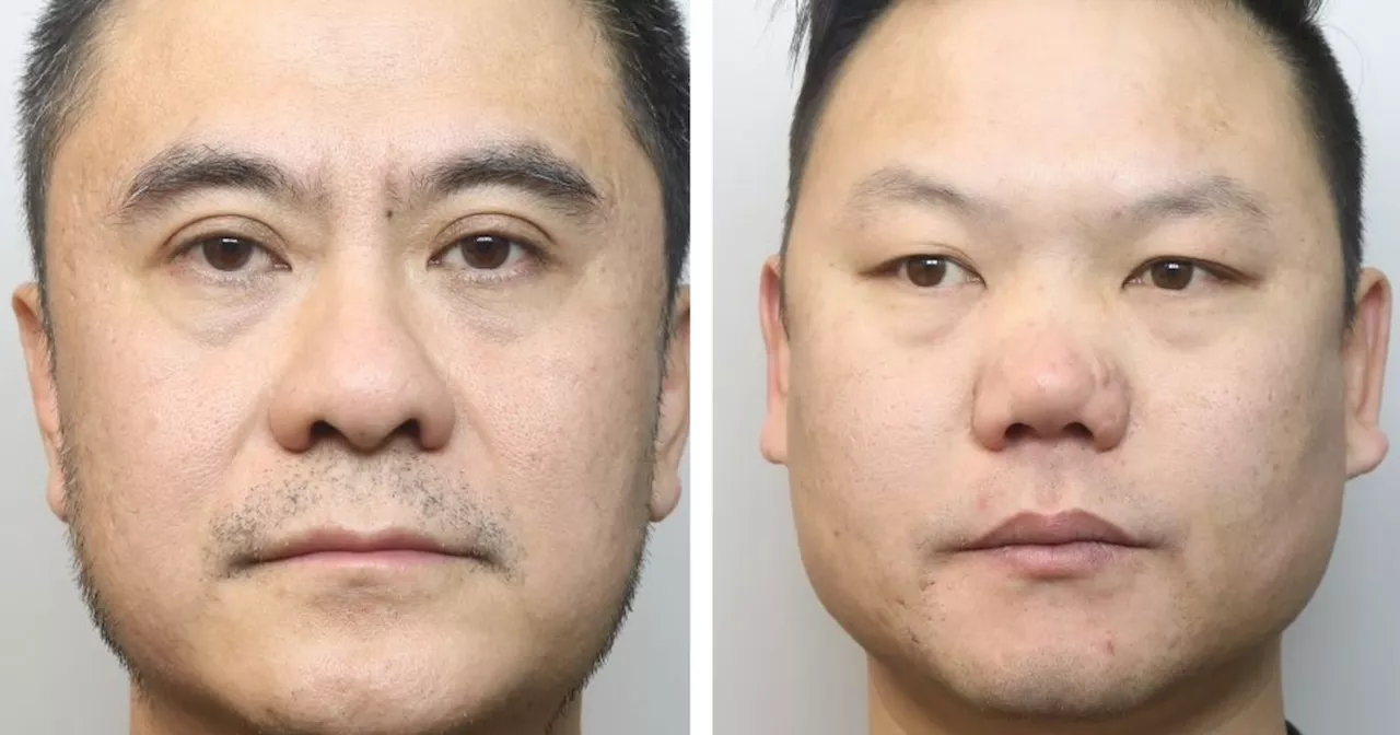 Chinese Nationals Caught in Ilkeston Cannabis Grow Operation