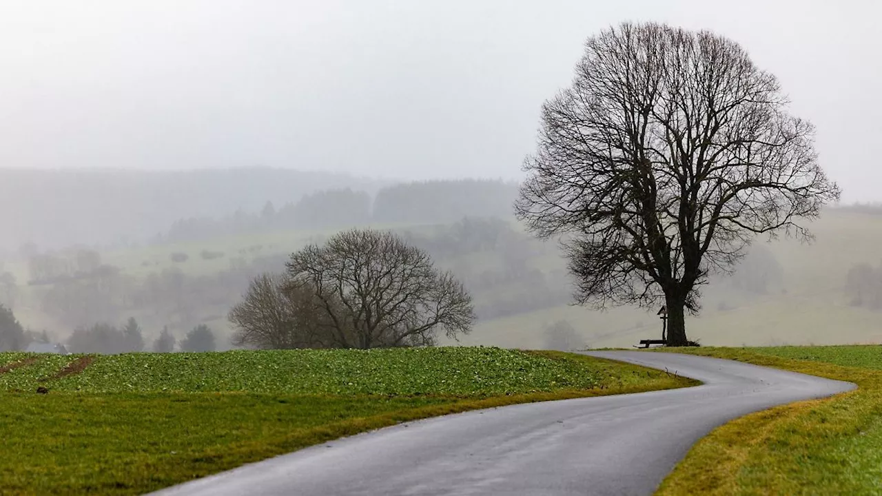 Thüringen: Kaltes und graues Winterwetter in Thüringen