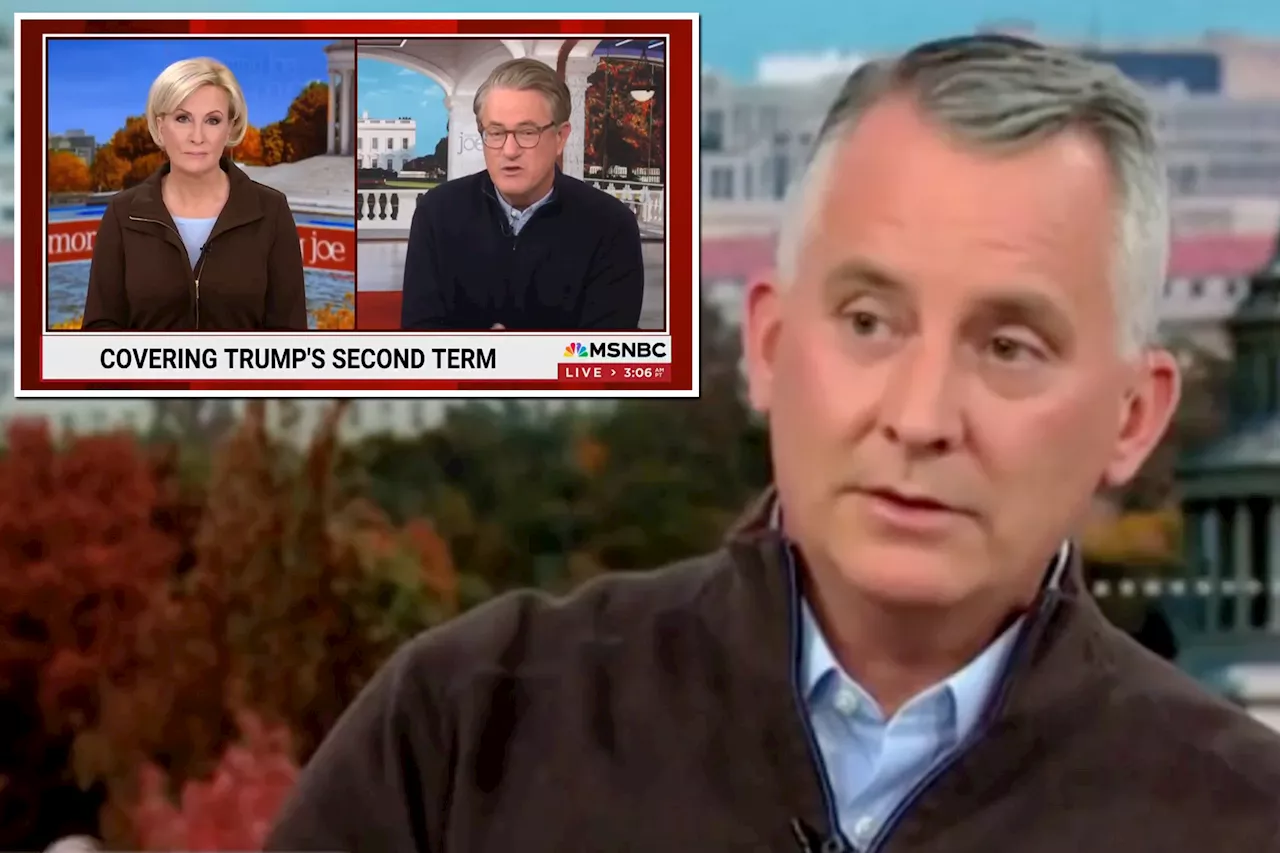 Ex-GOP Rep. exposes MSNBC drama with Joe Scarborough, Mika Brzezinski over Trump meeting: 'You can't do that'