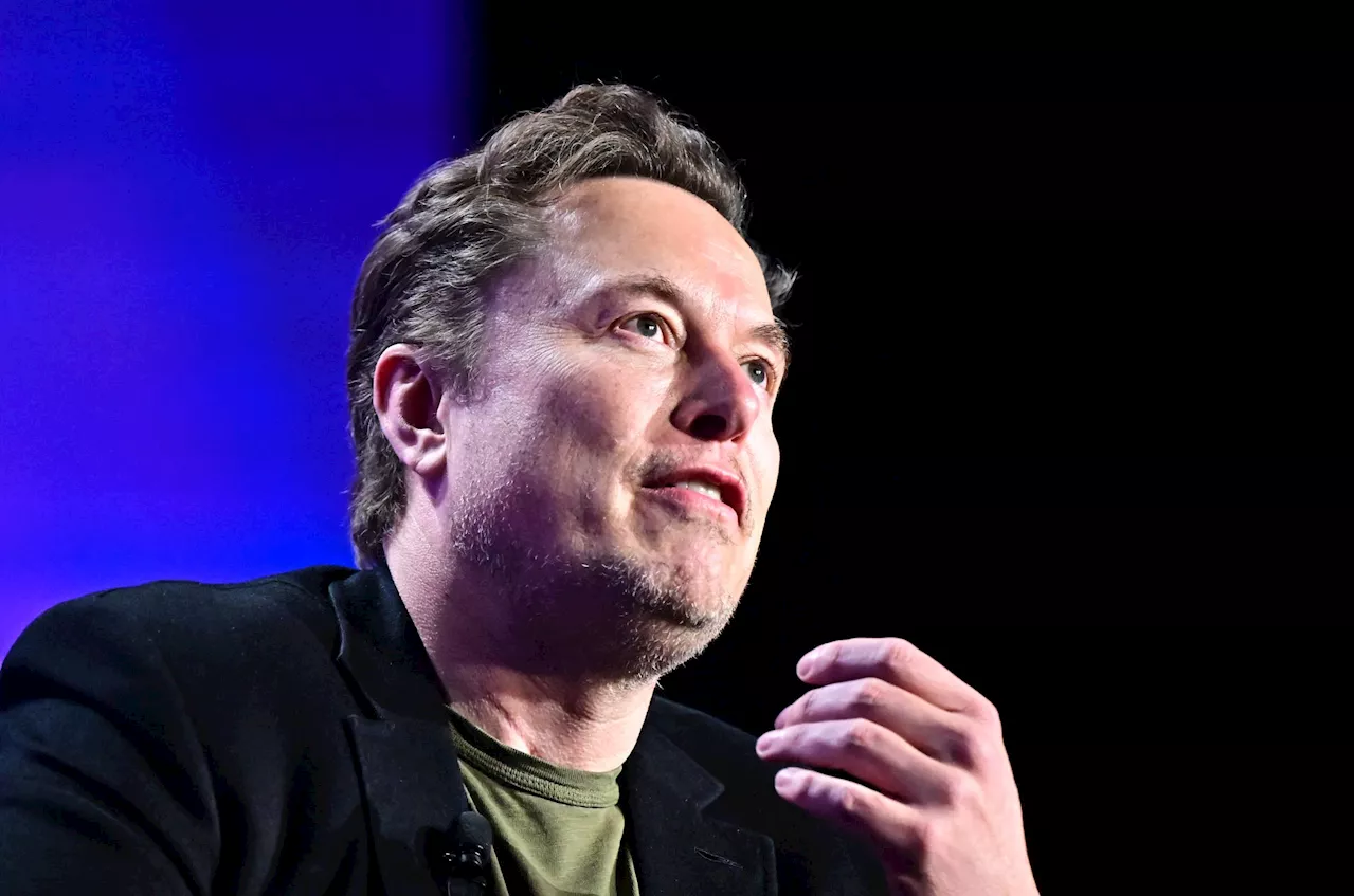 Musk, Vivek face target-rich environment for vile federal regs and waste