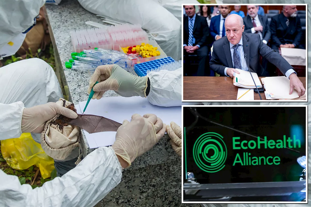 US DOJ Launches Secret Grand Jury Investigation into EcoHealth Alliance and Coronavirus Research