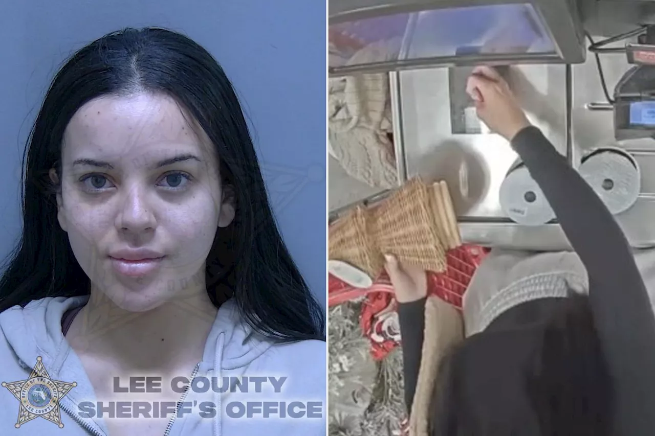 TikTok Mom Vlogger Who Allegedly Stole from Target Arrested for Second Alleged Theft from Same Store