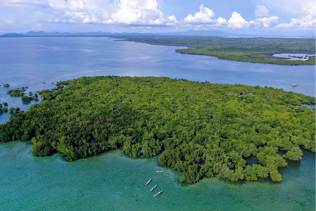 2 more Mindanao wetlands now on Ramsar global conservation list