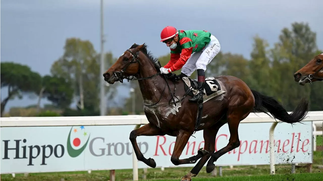 Licenziamenti alla Hippogroup Posticipati, Capannelle Non Corre Rischi