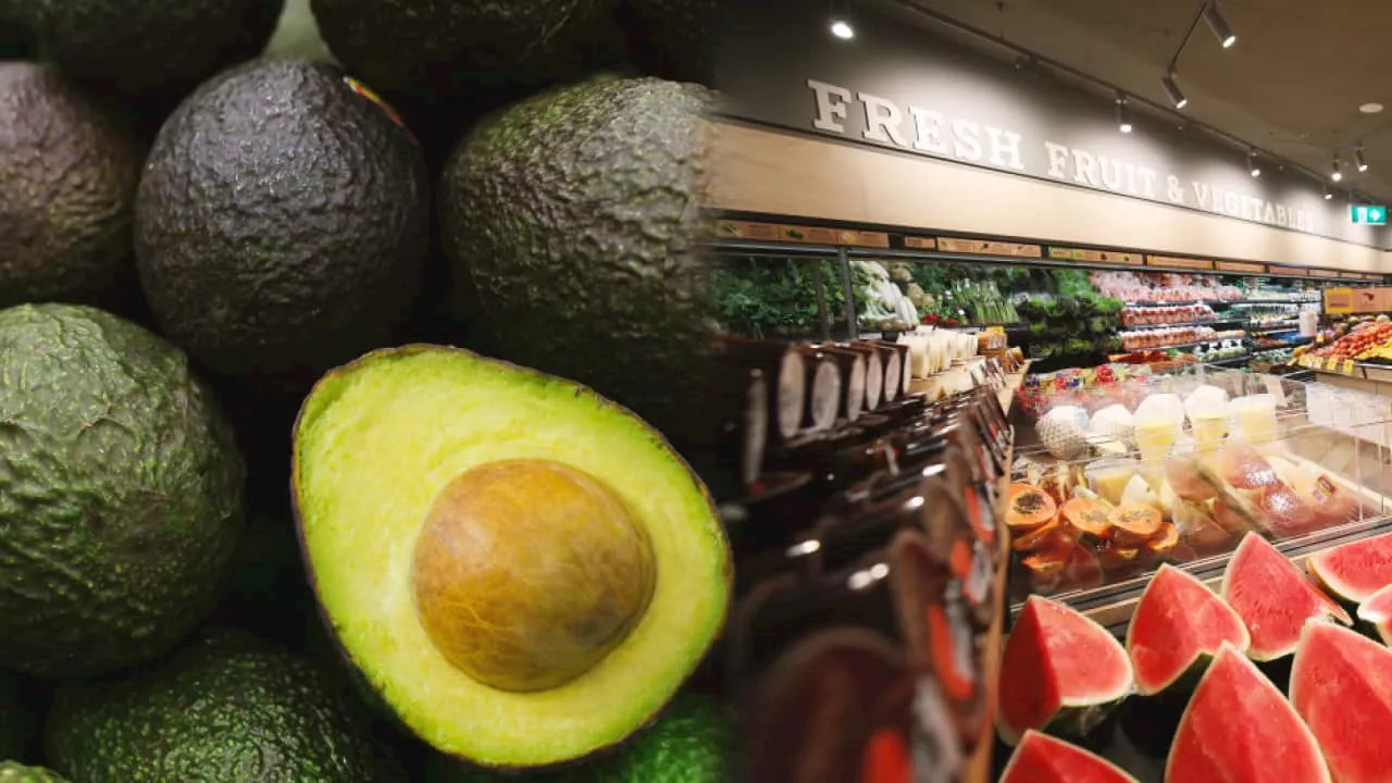 Australia's Avocado Prices Remain Low Amid Rising Cost of Living Concerns