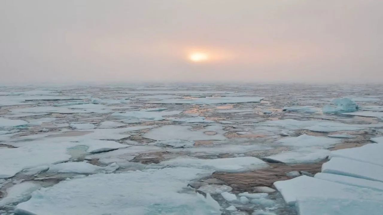 El deshielo del Polo Norte podría llegar antes de lo previsto: el Ártico se podía quedar sin hielo marino en 2