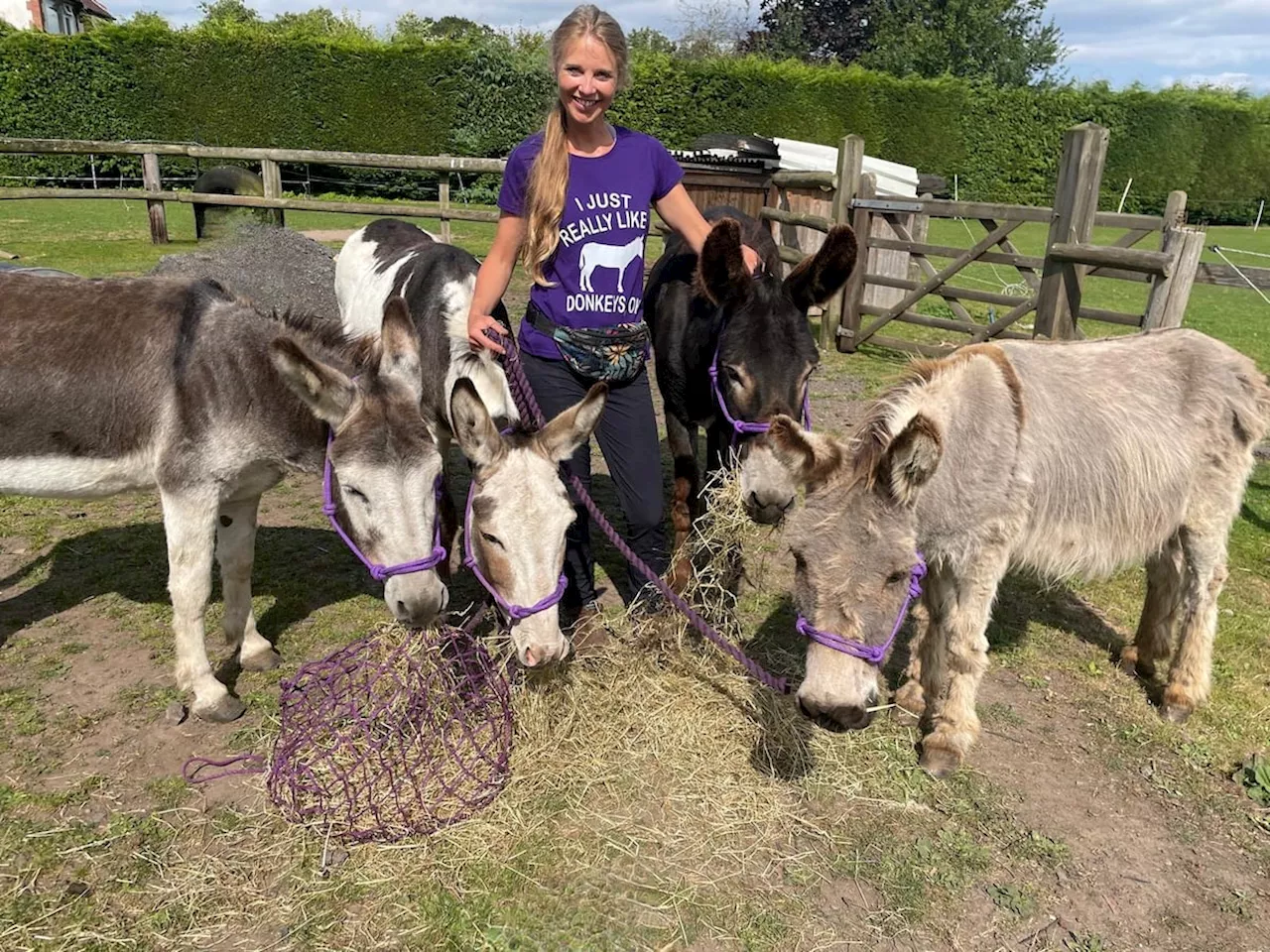 New business offers donkey-assisted therapy to people in Shropshire and Staffordshire