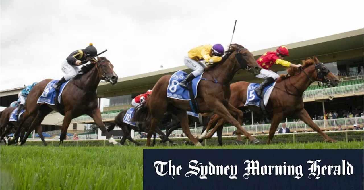 Race-by-race preview and tips for Warwick Farm on Wednesday